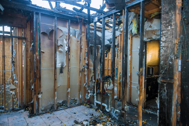 Professional Fire Damage Removal technician working in Huntington, TX